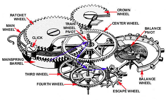 Gear train watch new arrivals